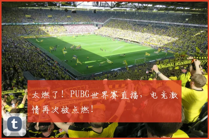 太燃了！PUBG世界赛直播，电竞激情再次被点燃！